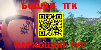 МДПВ Татарск