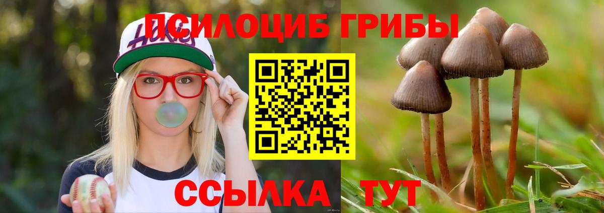 Медногорск  Псилоцибиновые грибы Magic Shrooms  дарнет шоп  Вход с VPN 
